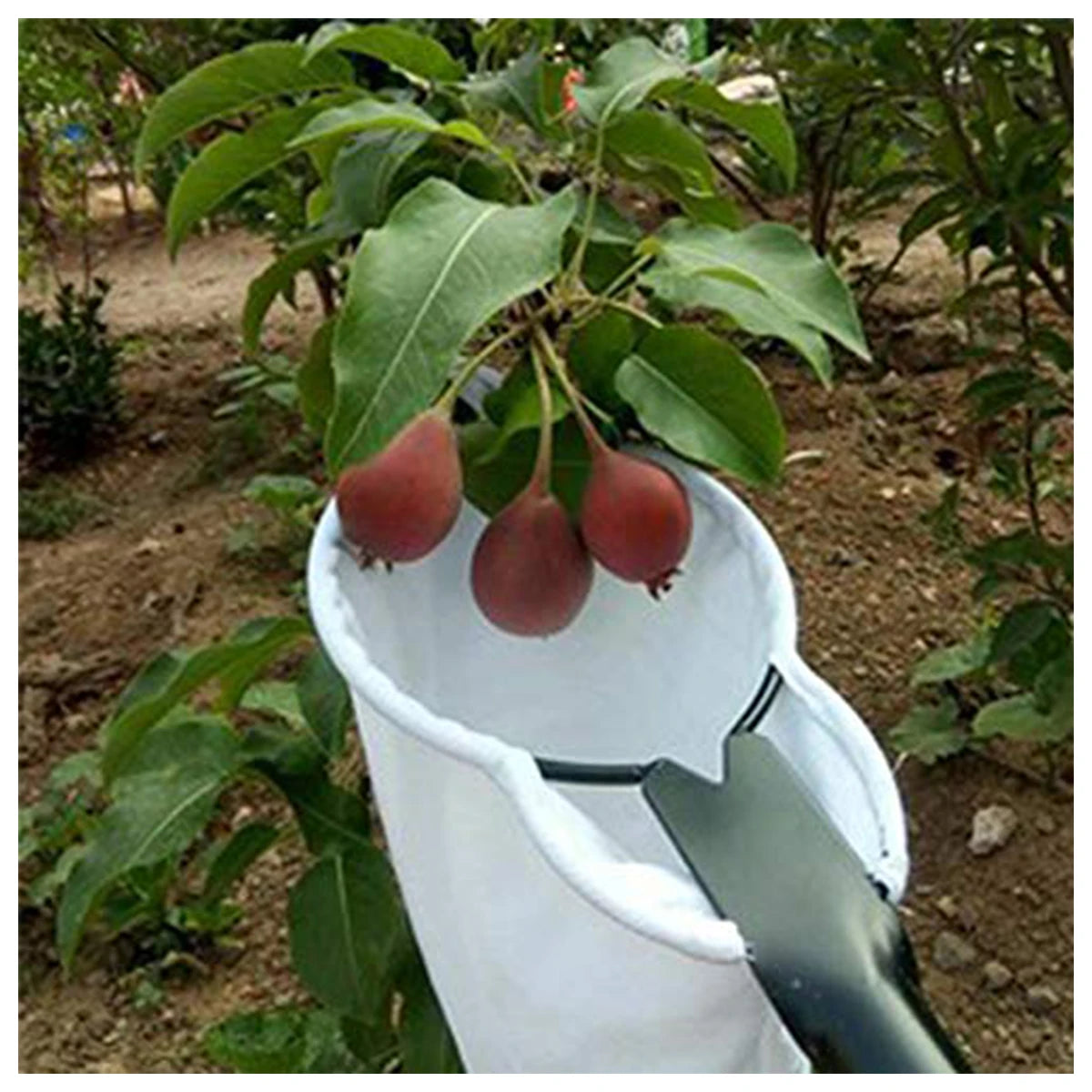 New Fruit Picker Fruit Picking Tool with Storage Bag Stainless Steel Orange Picker Tool