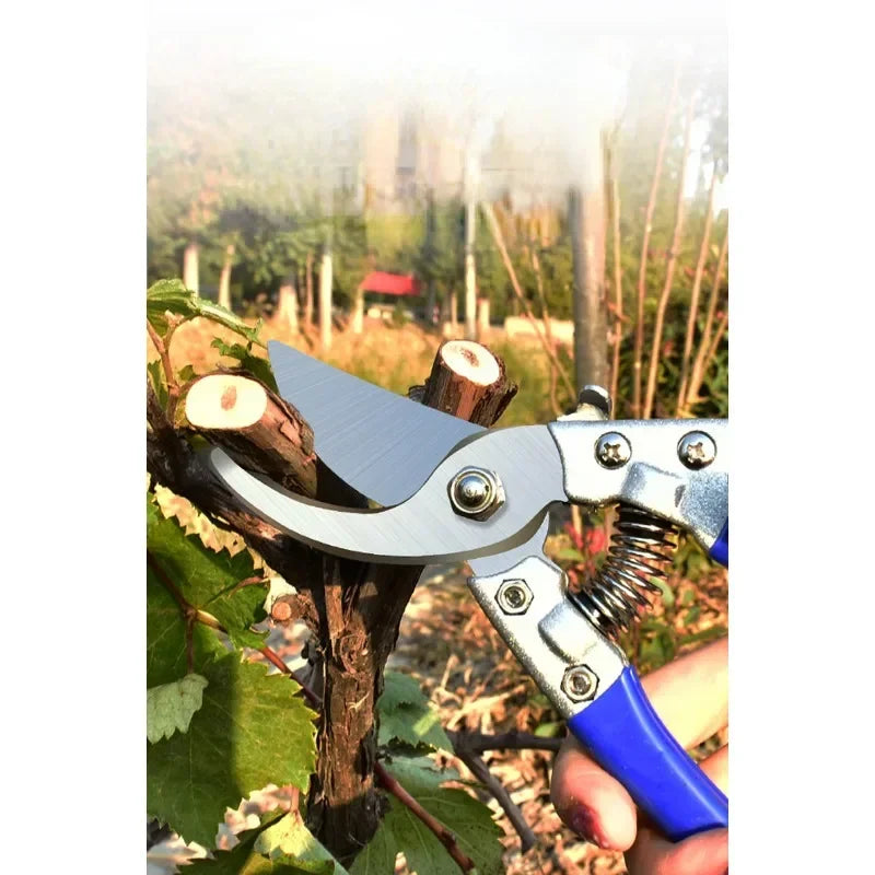 SK5 Pruning Scissors Grafting Tool Gardener Scissor Secateurs Stainless Steel Floral Fruit Tree