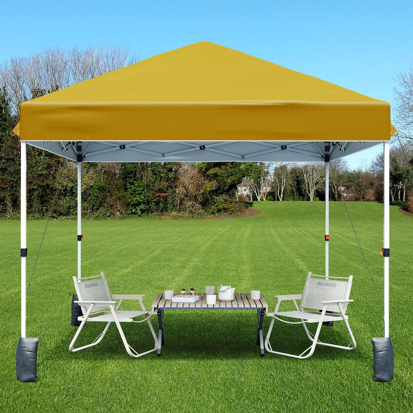 10x10ft Center Locking Canopy Tent, Portable Outdoor Canopy Tent, Height Adjustable Straight Legs, Waterproof and UV Protection