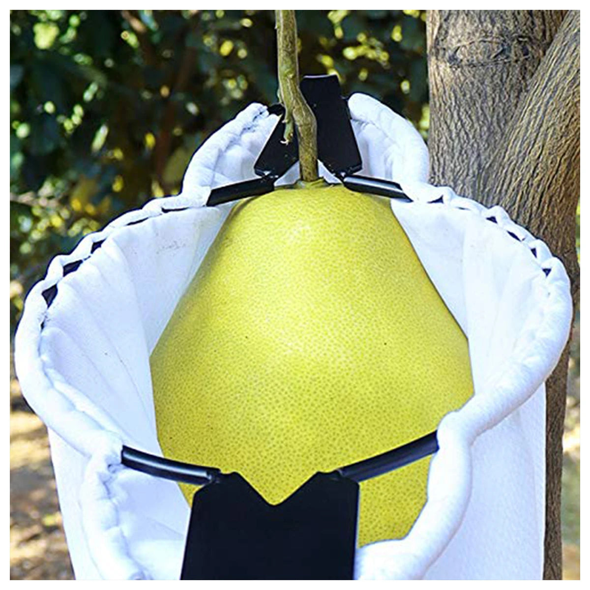 New Fruit Picker Fruit Picking Tool with Storage Bag Stainless Steel Orange Picker Tool