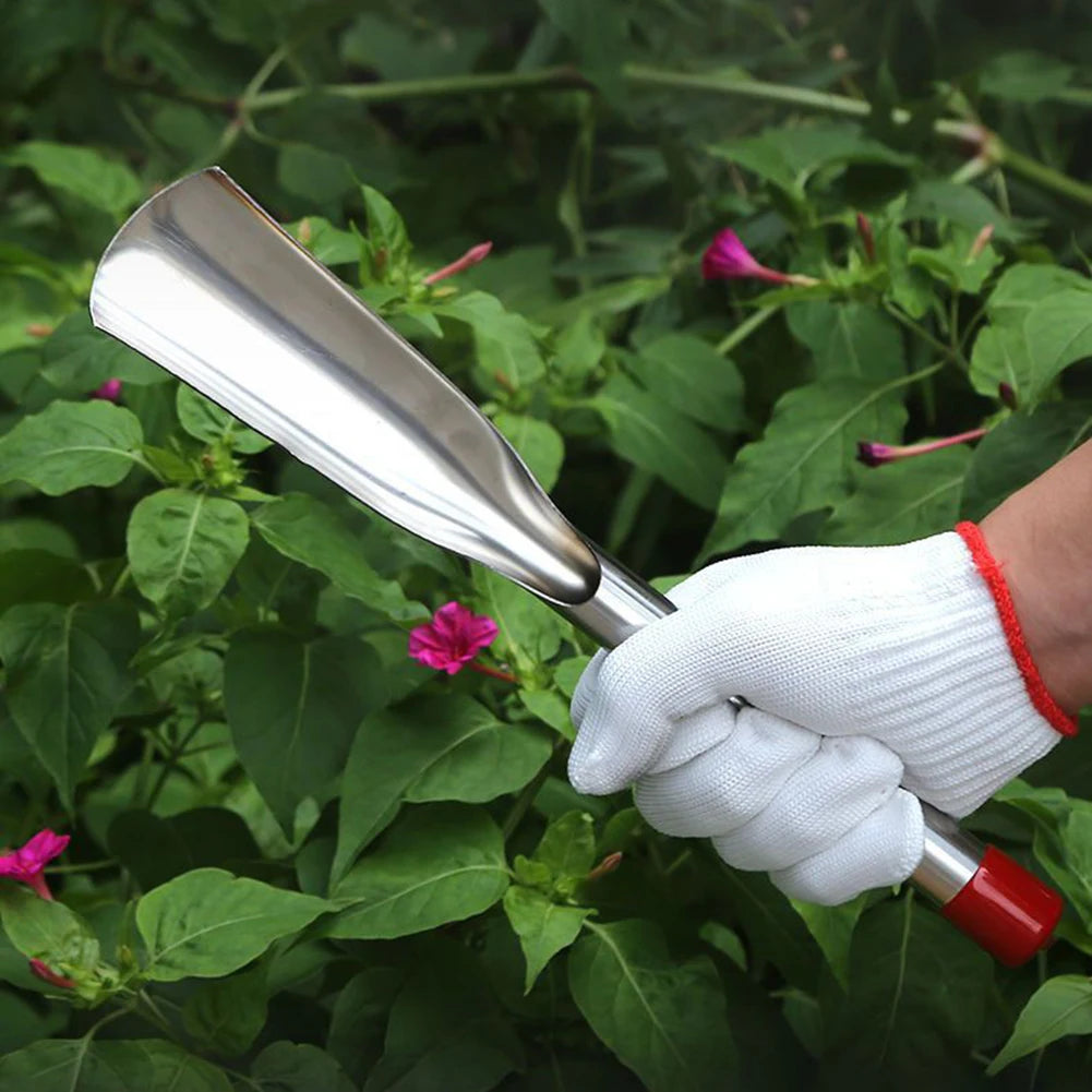 2 Pcs Gardening Tool Set Transplanting Small Shovel Stainless Steel Spade Shovel Rake