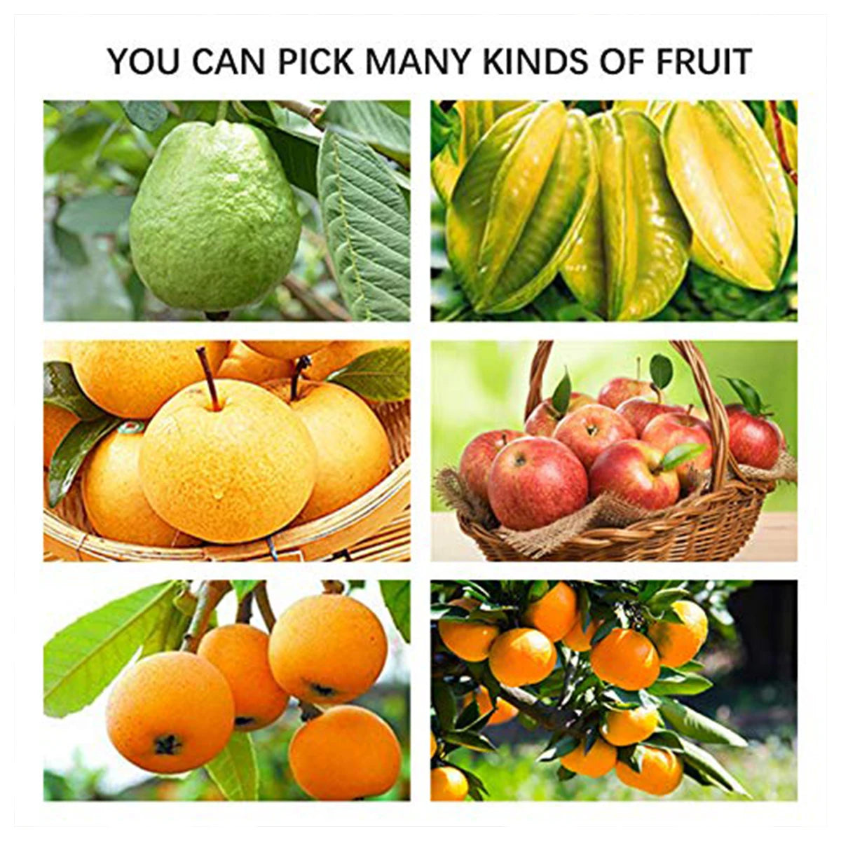 New Fruit Picker Fruit Picking Tool with Storage Bag Stainless Steel Orange Picker Tool