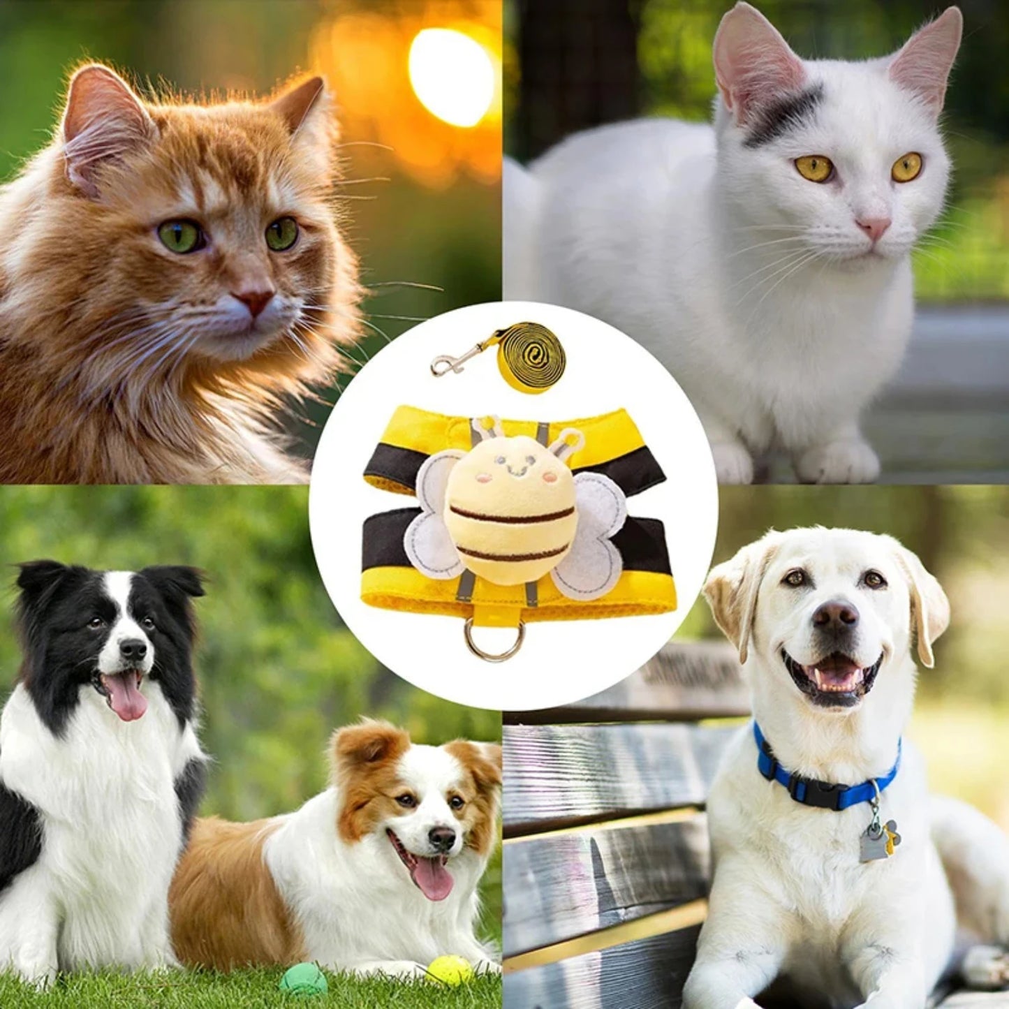 Dog Vest Harness Pet Suffocation-free Collar Harness Dog Leash